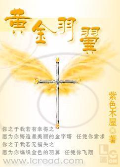 黄金羽翼封面