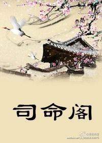 司命阁封面