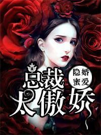 隐婚蜜爱：总裁太傲娇封面