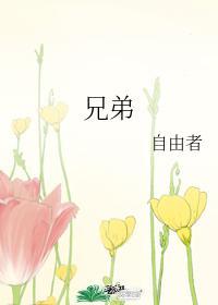 兄弟封面