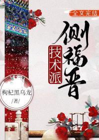 技术派侧福晋封面