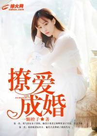 撩爱成婚封面