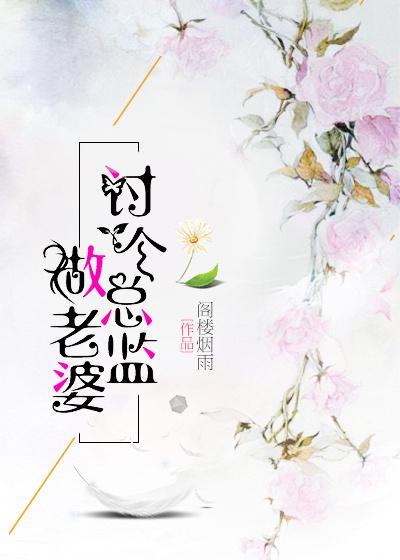讨个总监做老婆封面
