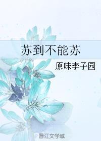 苏到不能苏封面