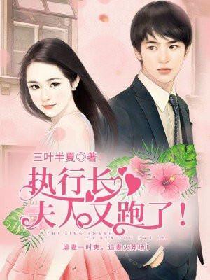 执行长，夫人又跑了封面