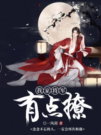 我家将军有点撩封面