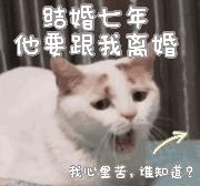 结婚七年他要跟我离婚封面