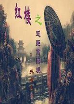红楼之近距离围观封面