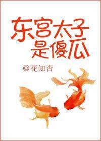 东宫太子是傻瓜封面