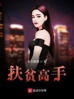 扶贫高手封面