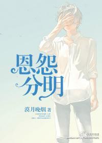 恩怨分明封面