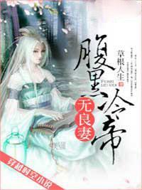 腹黑冷帝无良妻封面