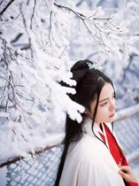 冷宫逃妃封面