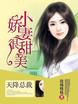 天降总裁：小娇妻，很甜美封面