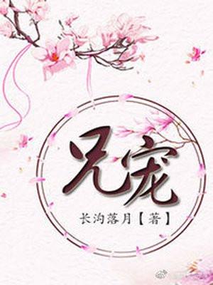 兄宠封面