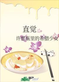 直觉封面