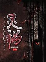 灵祸封面