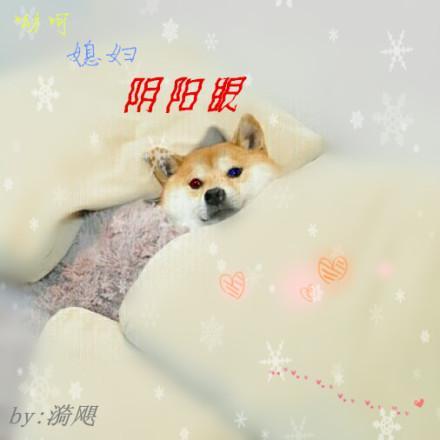 哟呵?媳妇阴阳眼?(GL)封面