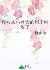 我被从小养大的崽子给攻了封面