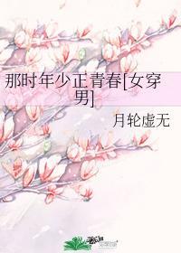 那时年少正青春[女穿男]封面