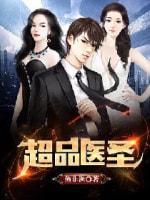 超品医圣封面