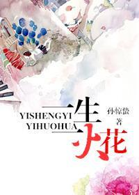 一生一火花封面