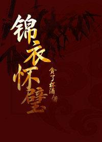 锦衣怀璧封面