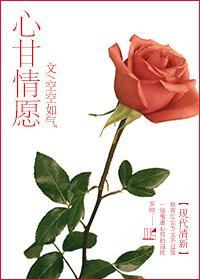 心甘情愿封面