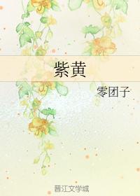 紫黄封面