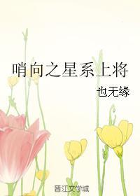 哨向之星系上将封面