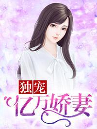 独宠亿万娇妻封面