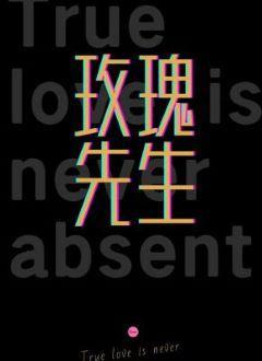 玫瑰先生封面