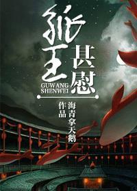 孤王甚慰封面