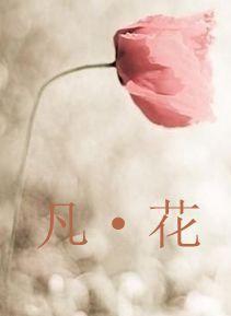 凡·花封面