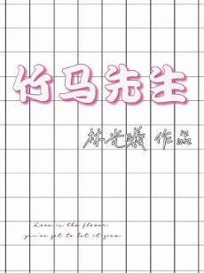 竹马先生封面