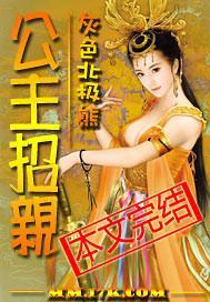 公主招亲封面