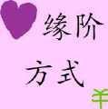 遇见封面