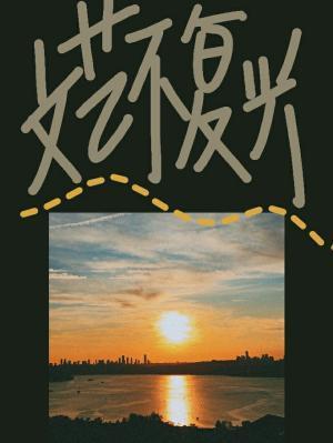 文艺不覆兴封面