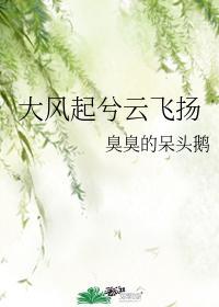 大风起兮云飞扬封面