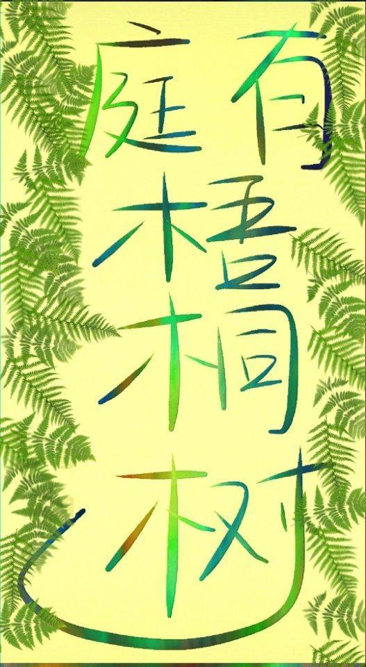 庭有梧桐树封面