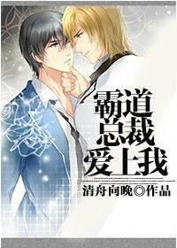 霸道总裁爱上我[网配]封面