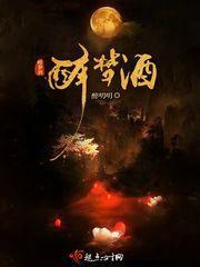 醉梦酒封面