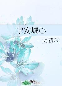 宁安城心封面