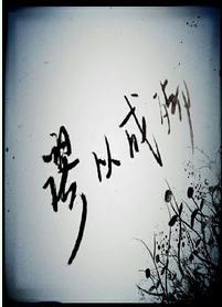 谬以成殇封面
