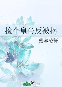 捡个皇帝反被拐封面