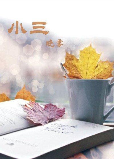 小三封面