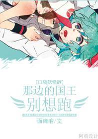 [口袋妖怪BW]那边的国王别想跑！封面
