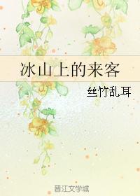 冰山上的来客封面