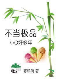 不当极品小O好多年封面
