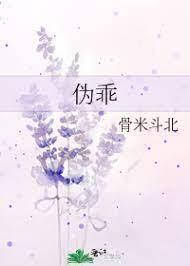 伪乖封面